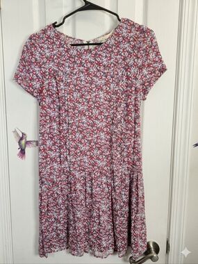 Coincidence & Chance UO Drop Waist Floral Mini Dress boho Whimsigoth Rayon S